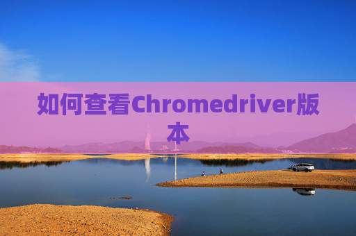 如何查看Chromedriver版本